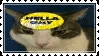 a stamp with an image of a cat with a yellow, sparkling sticker on its forehead. the sticker reads 'HELLA GAY'